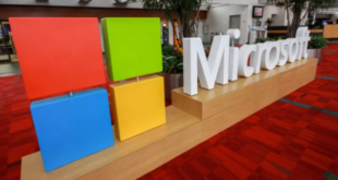 Best Jobs for Building Your Career at Microsoft