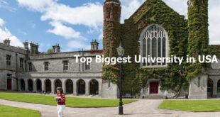 Top Biggest University in USA