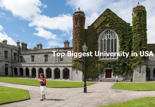 Top Biggest University in USA