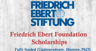 Funded Friedrich Ebert Foundation Scholarship in Germany