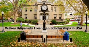 Wilkes University Freshman Scholarships in USA