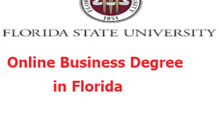 Online Business Degree in Florida