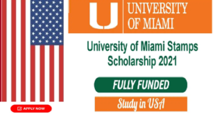 University of Miami Stamps Scholarship in USA